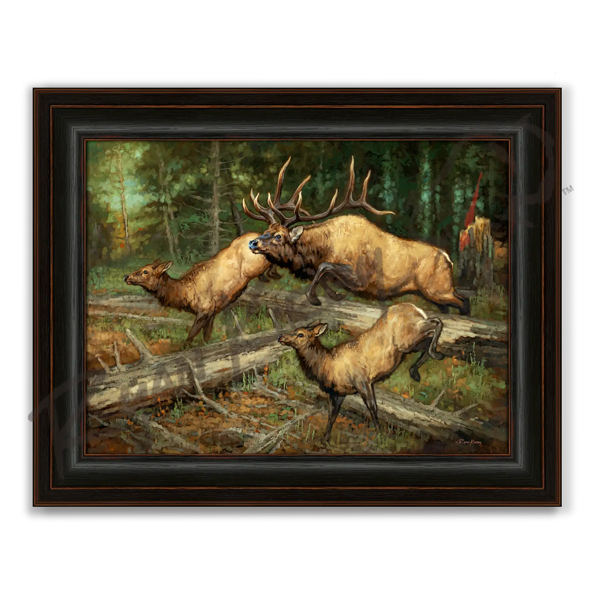 ’Thundering Herd’ Elk Canvas Art Print - Midnight Oak - Canvas Print