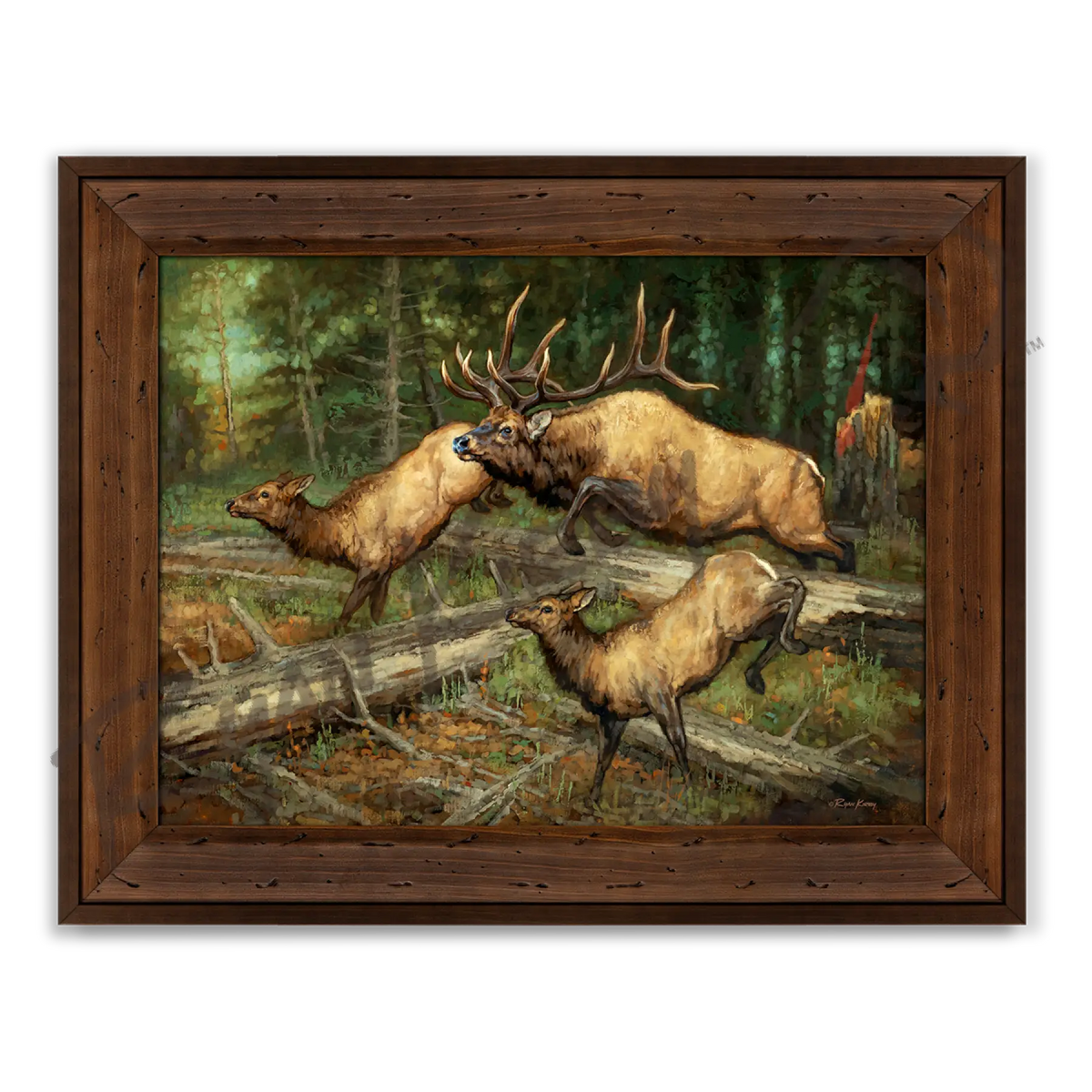 ’Thundering Herd’ Elk Canvas Art Print - Reclaimed Chestnut - Canvas Print