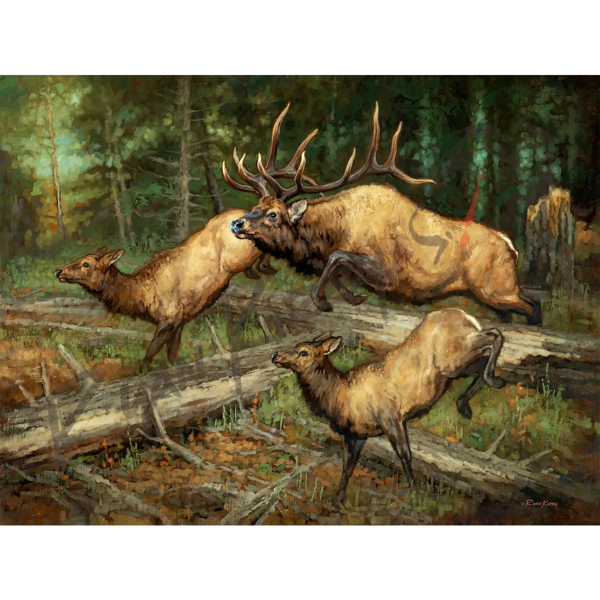 ’Thundering Herd’ Elk Canvas Art Print - Unframed, Rolled Canvas - Canvas Print