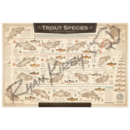 ’Trout Species of North America’ Paper Art Print Unframed, Rolled Print Paper Print
