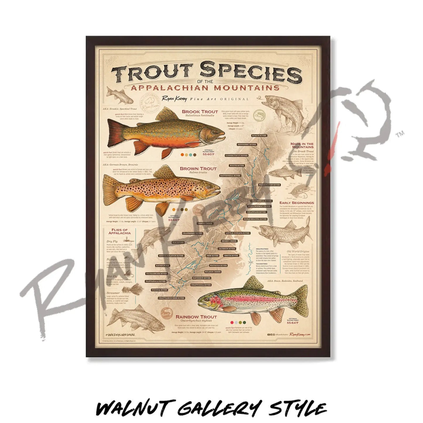 ’Trout Species of the Appalachian Mountains’ Fly Fishing Art Poster - Poster