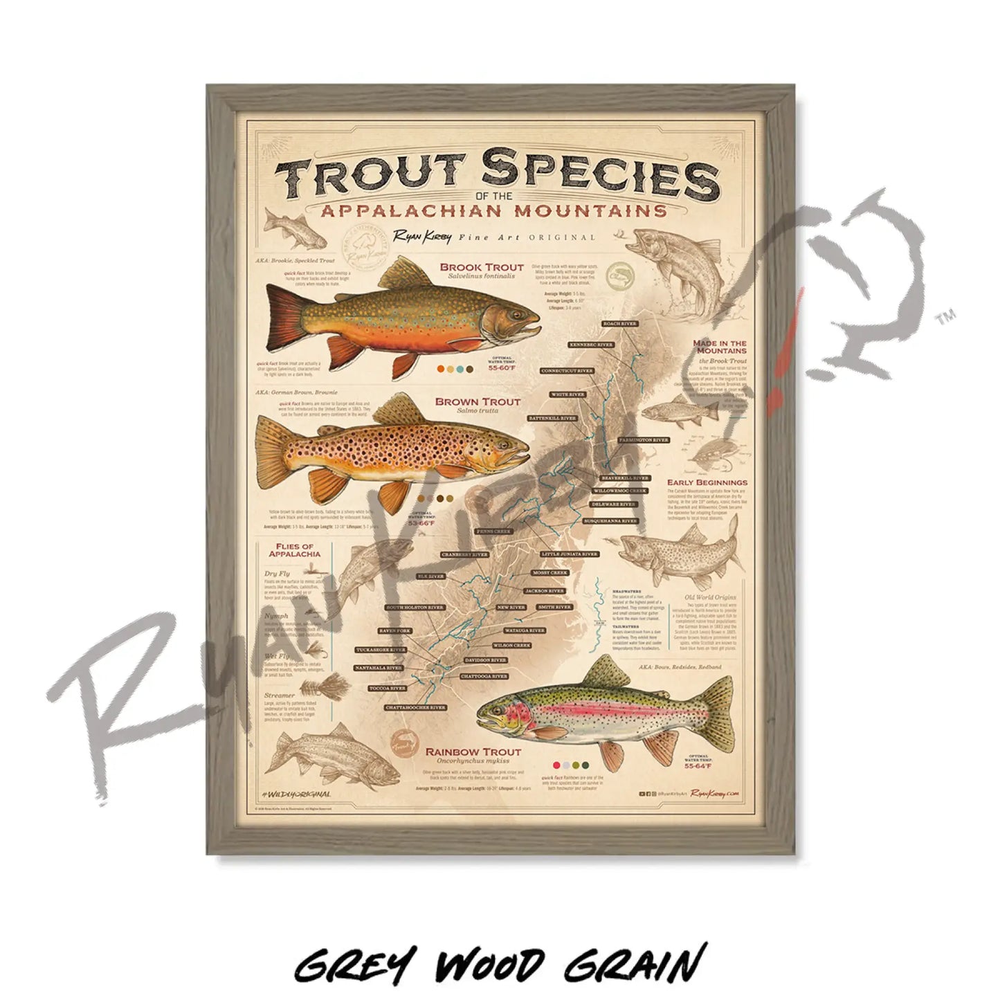 ’Trout Species of the Appalachian Mountains’ Fly Fishing Art Poster - Poster