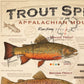 ’Trout Species of the Appalachian Mountains’ Fly Fishing Art Poster - Poster