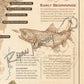 ’Trout Species of the Appalachian Mountains’ Fly Fishing Art Poster - Poster
