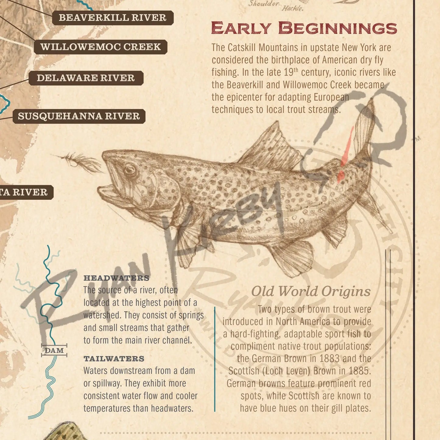 ’Trout Species of the Appalachian Mountains’ Fly Fishing Art Poster - Poster
