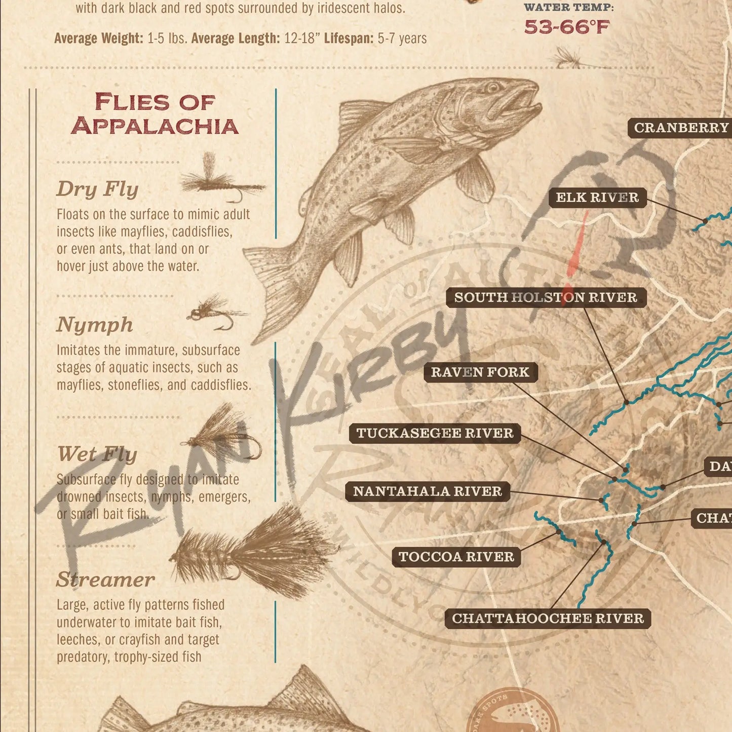 ’Trout Species of the Appalachian Mountains’ Fly Fishing Art Poster - Poster