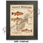 ’Trout Species of the Appalachian Mountains’ Fly Fishing Art Poster - Poster