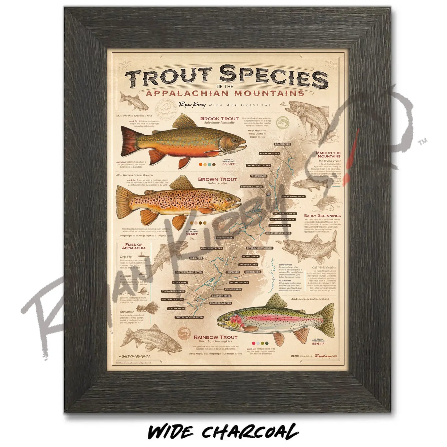 ’Trout Species of the Appalachian Mountains’ Fly Fishing Art Poster - Poster