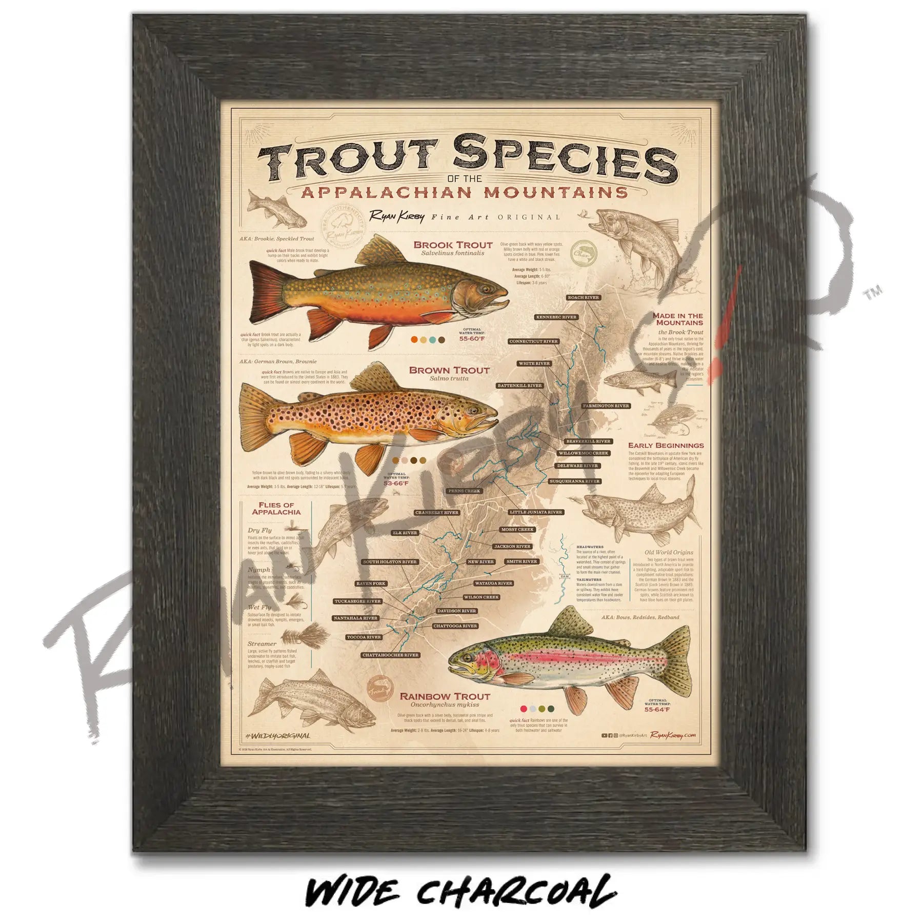 ’Trout Species of the Appalachian Mountains’ Fly Fishing Art Poster - Poster