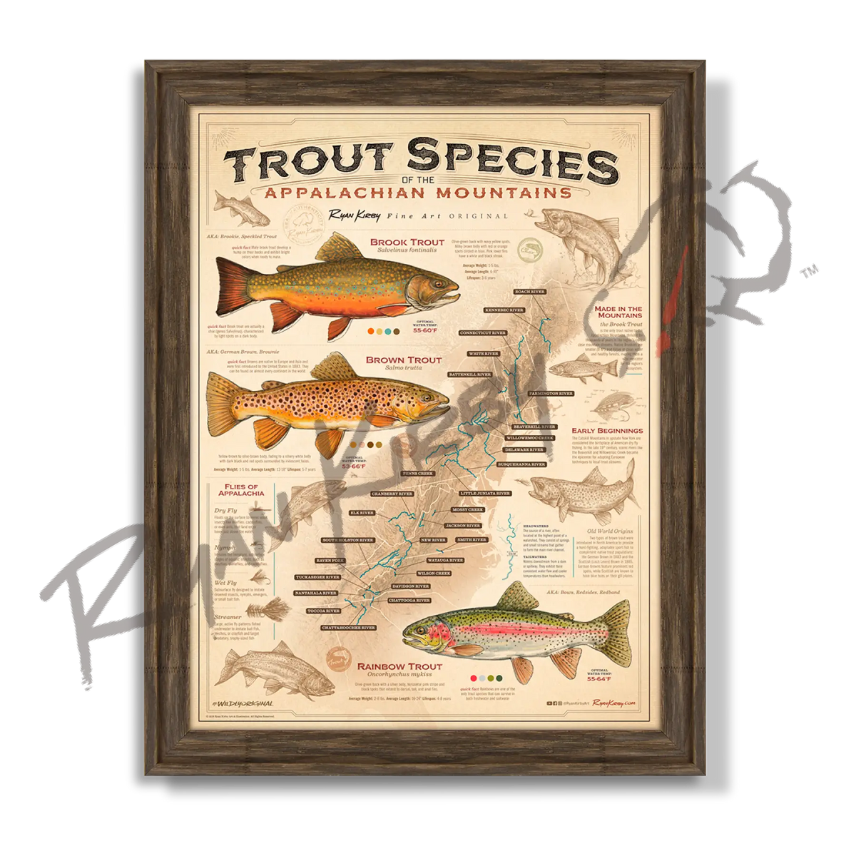 ’Trout Species of the Appalachian Mountains’ Fly Fishing Art Poster - Timberland - Poster