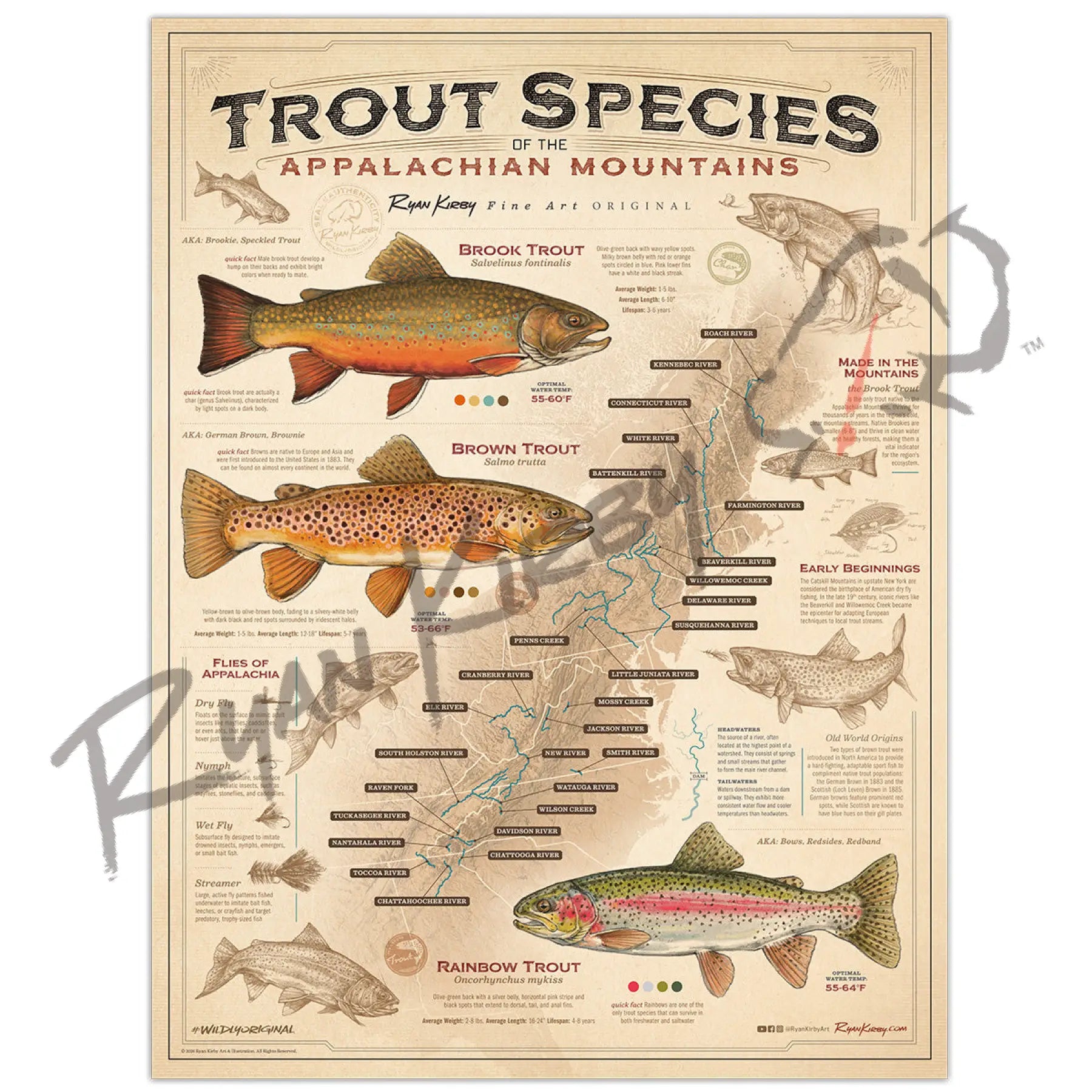 Trout Species of the Appalachian Mountains Unframed - Poster