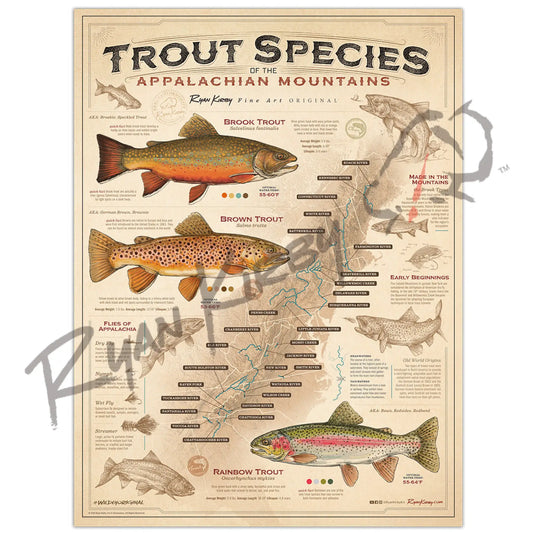 Trout Species of the Appalachian Mountains Unframed - Poster