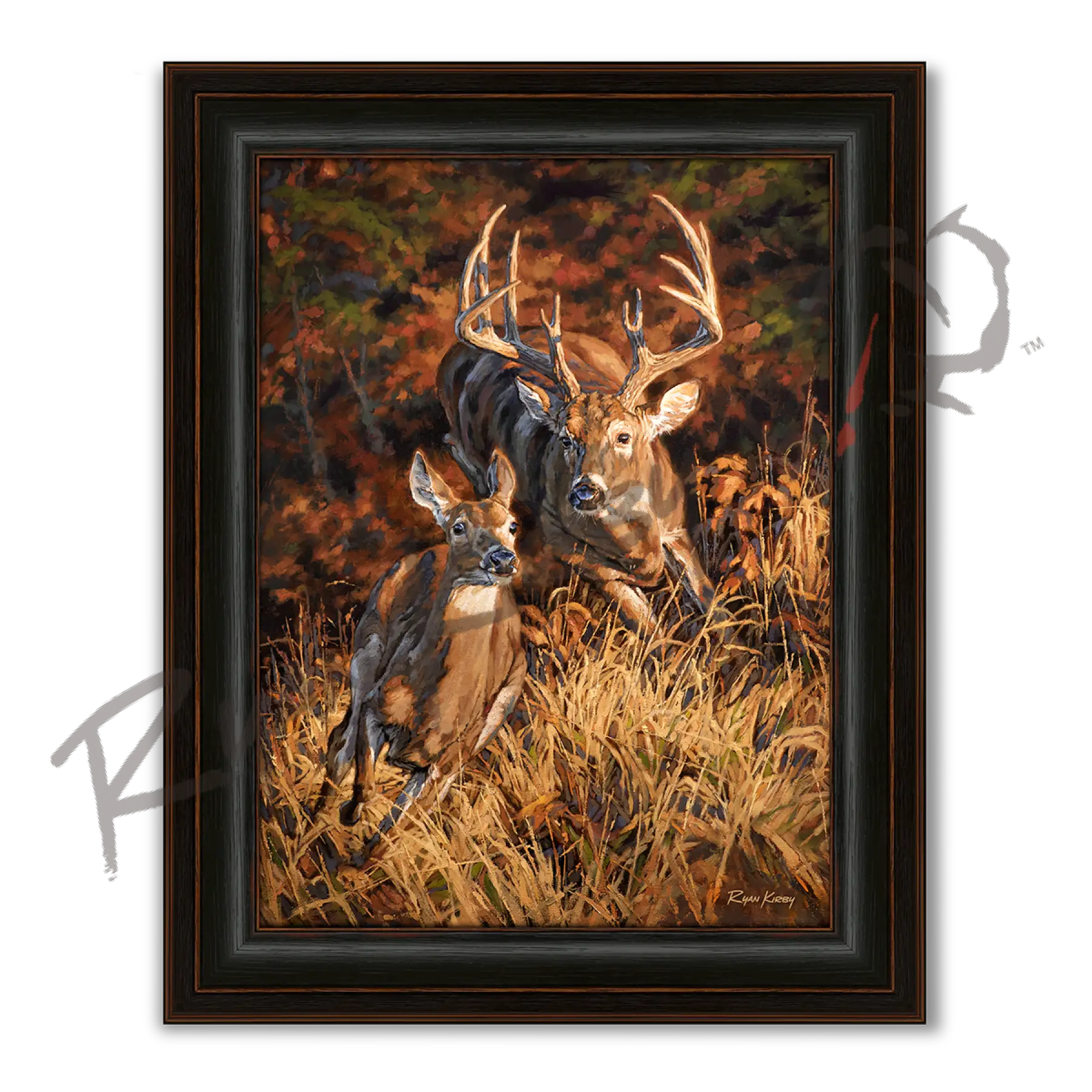 ’Turn and Burn’ White-tailed Deer Canvas Art Print - Midnight Oak - Canvas Print