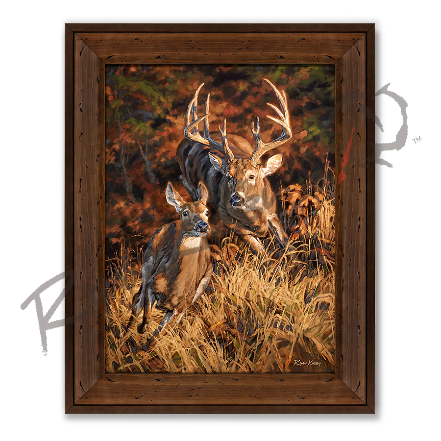 ’Turn And Burn’ White-Tailed Deer Canvas Art Print Reclaimed Chestnut