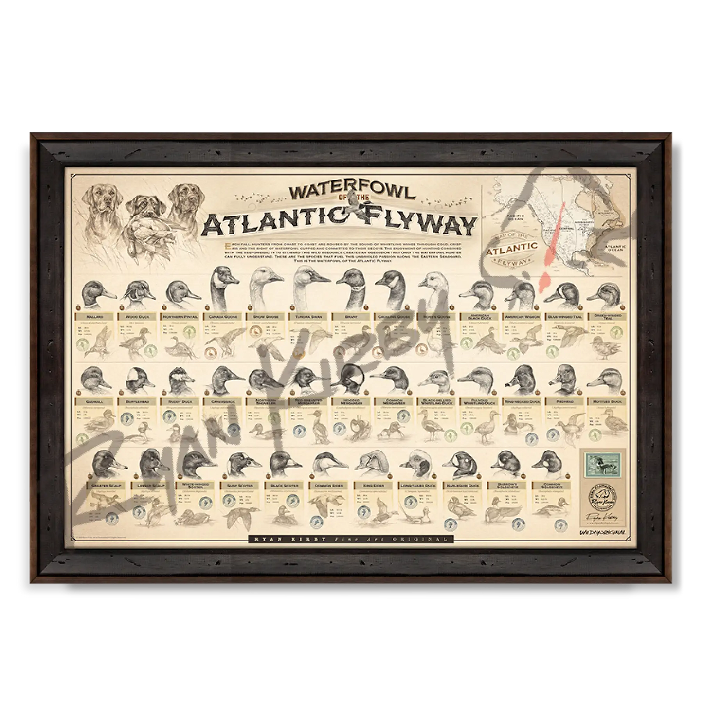 ’Waterfowl Of The Atlantic Flyway’ Paper Art Print Reclaimed Walnut