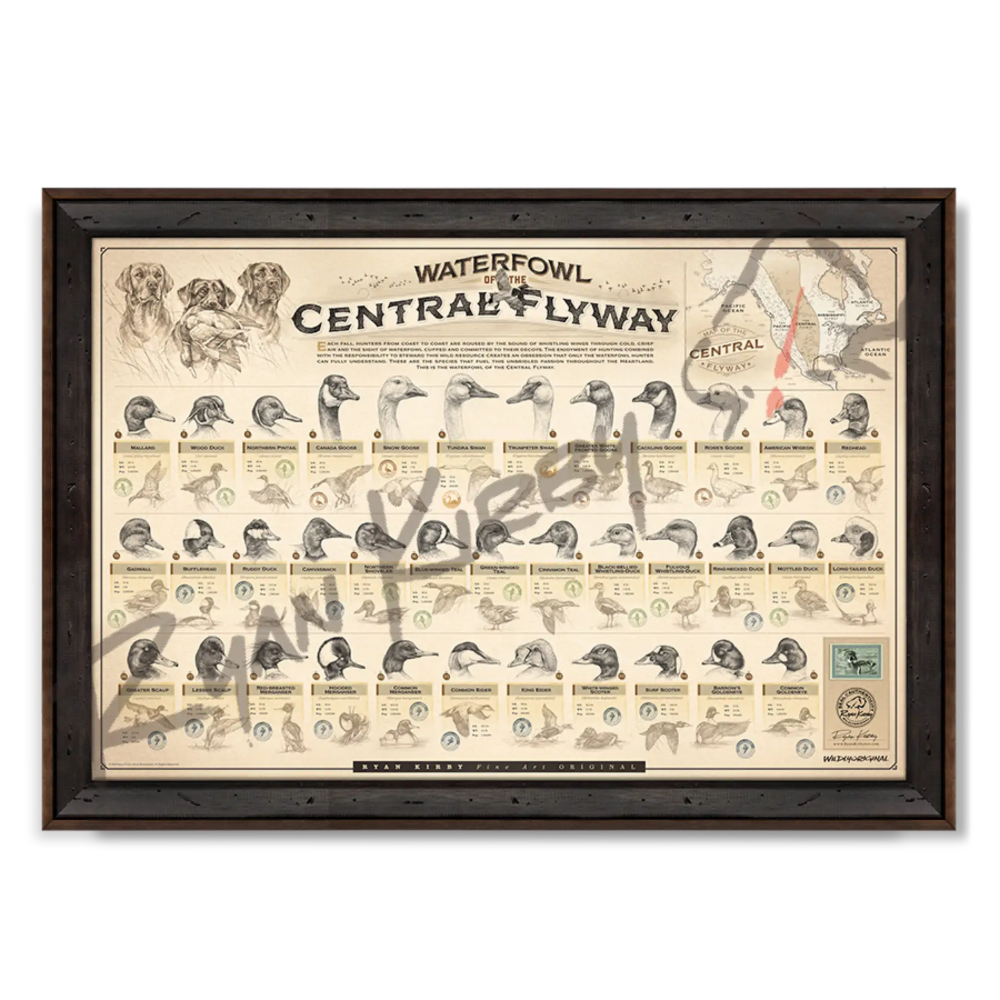 ’Waterfowl Of The Central Flyway’ Paper Art Print Reclaimed Walnut