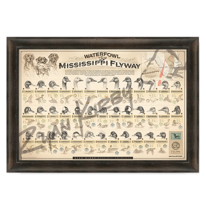 ’Waterfowl Of The Mississippi Flyway’ Paper Art Print Espresso Walnut Frame