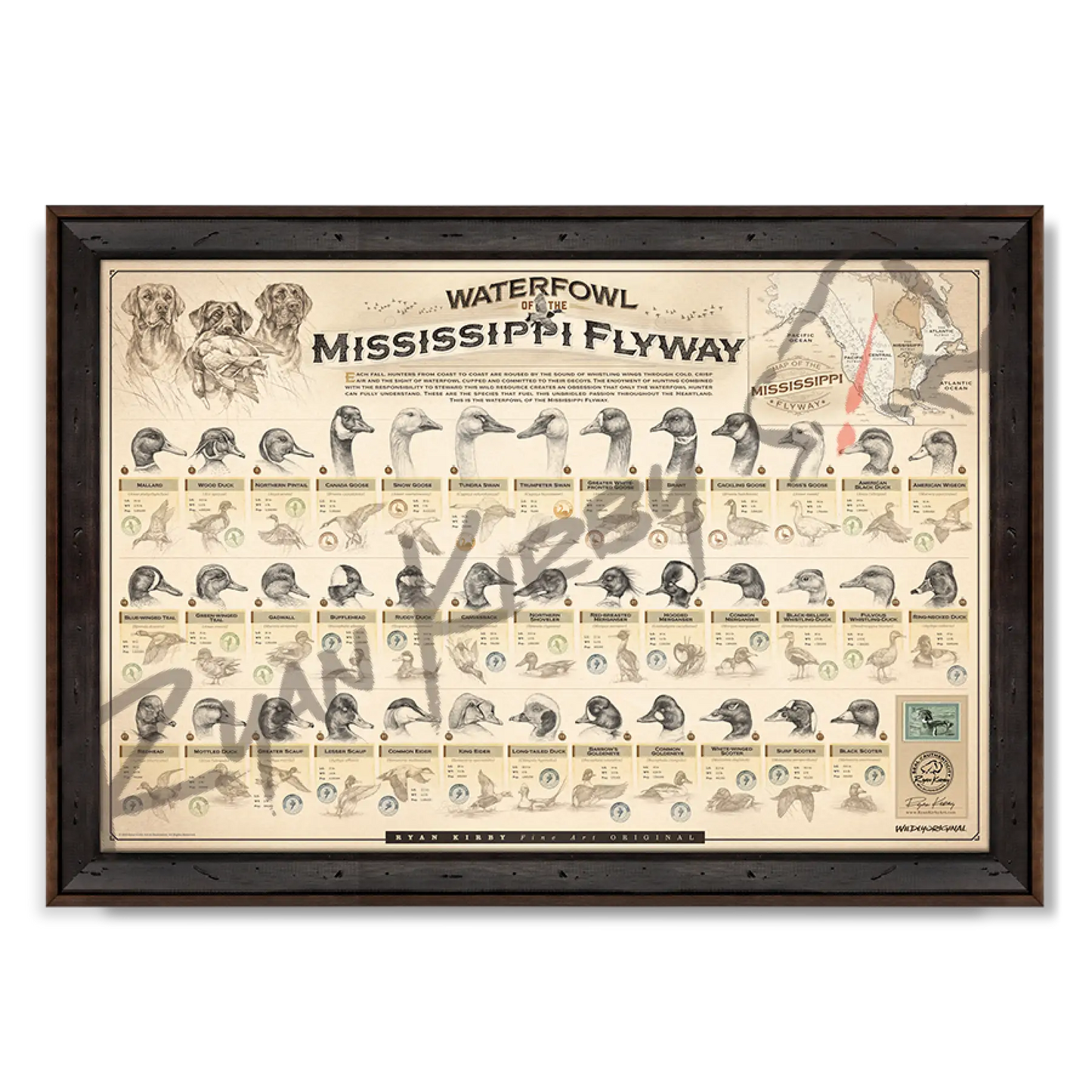 ’Waterfowl Of The Mississippi Flyway’ Paper Art Print Reclaimed Walnut