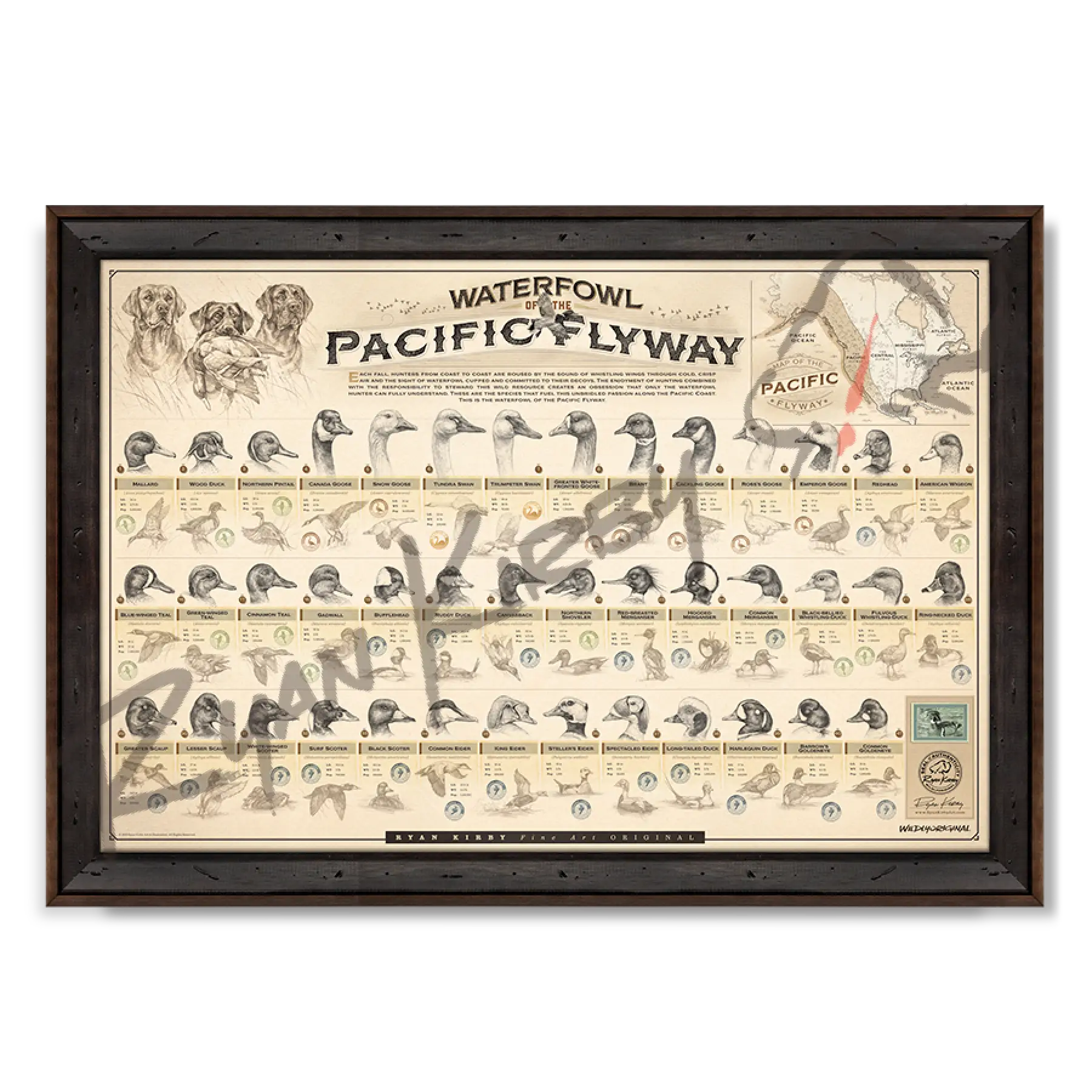 ’Waterfowl Of The Pacific Flyway’ Paper Art Print Reclaimed Walnut