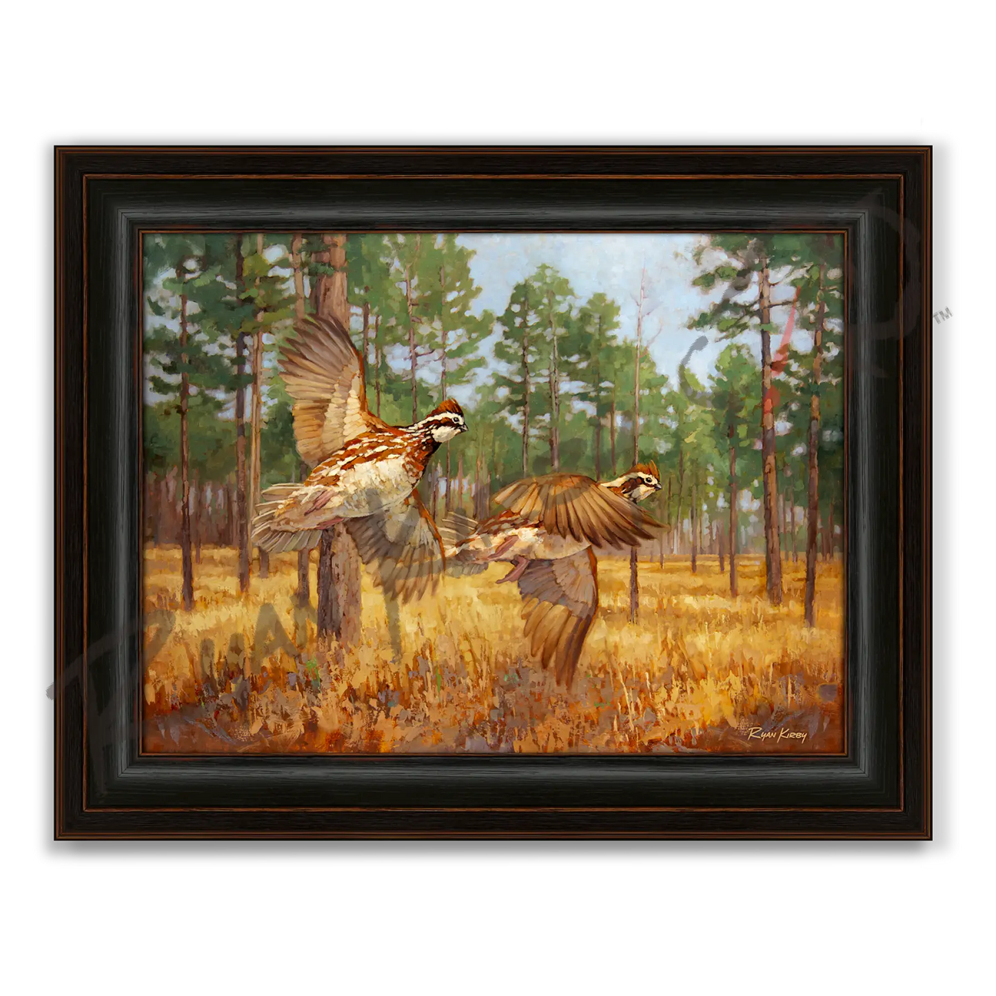 ’Whistlin’ Dixie’ Bobwhite Quail Canvas Art Print - Midnight Oak - Canvas Print