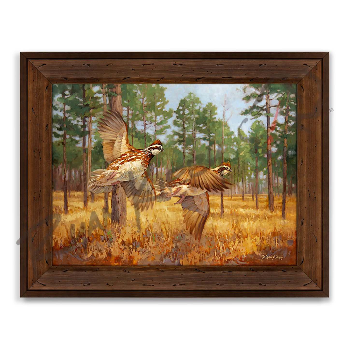 ’Whistlin’ Dixie’ Bobwhite Quail Canvas Art Print Reclaimed Chestnut