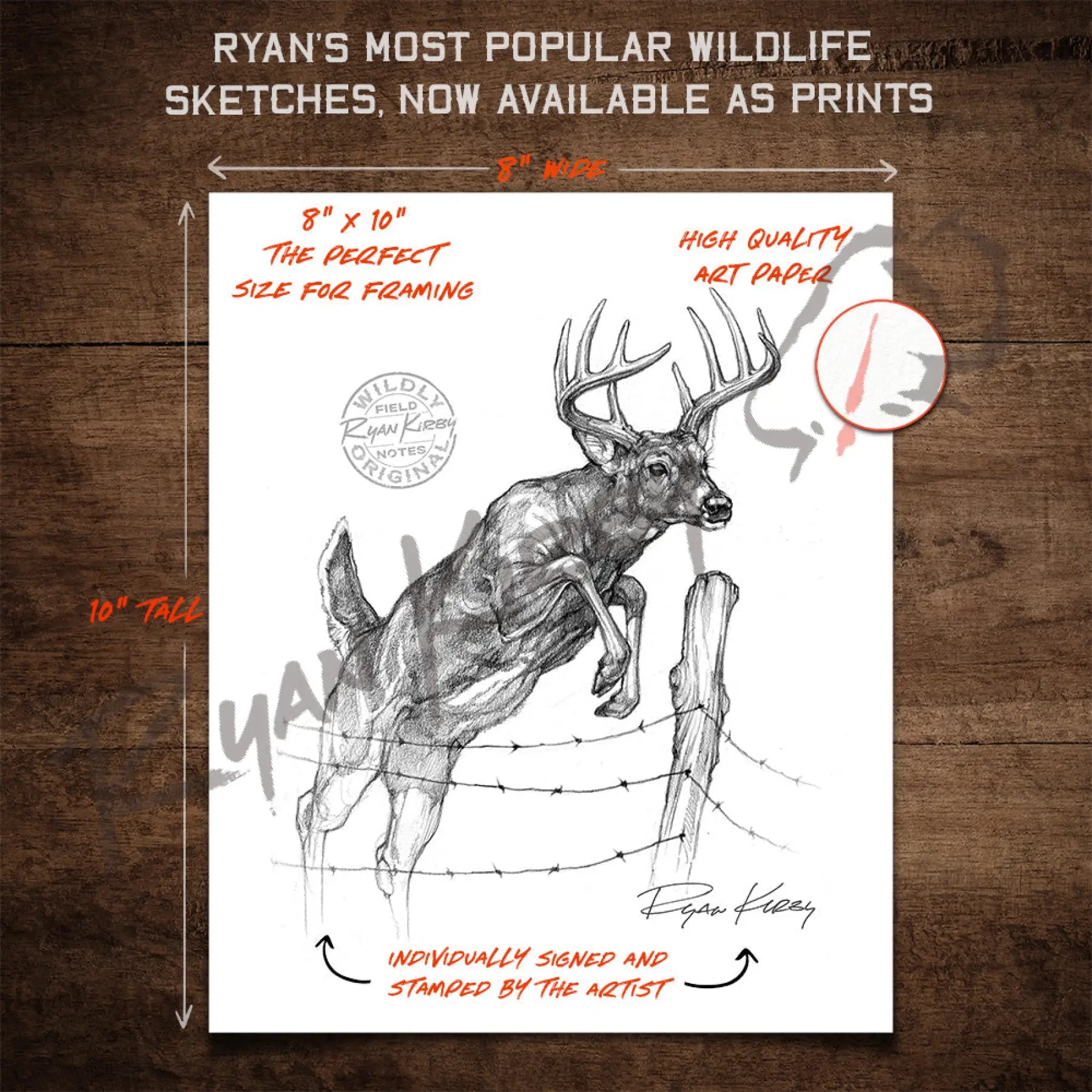 White-Tailed Buck Jumping Fence Sketch Print