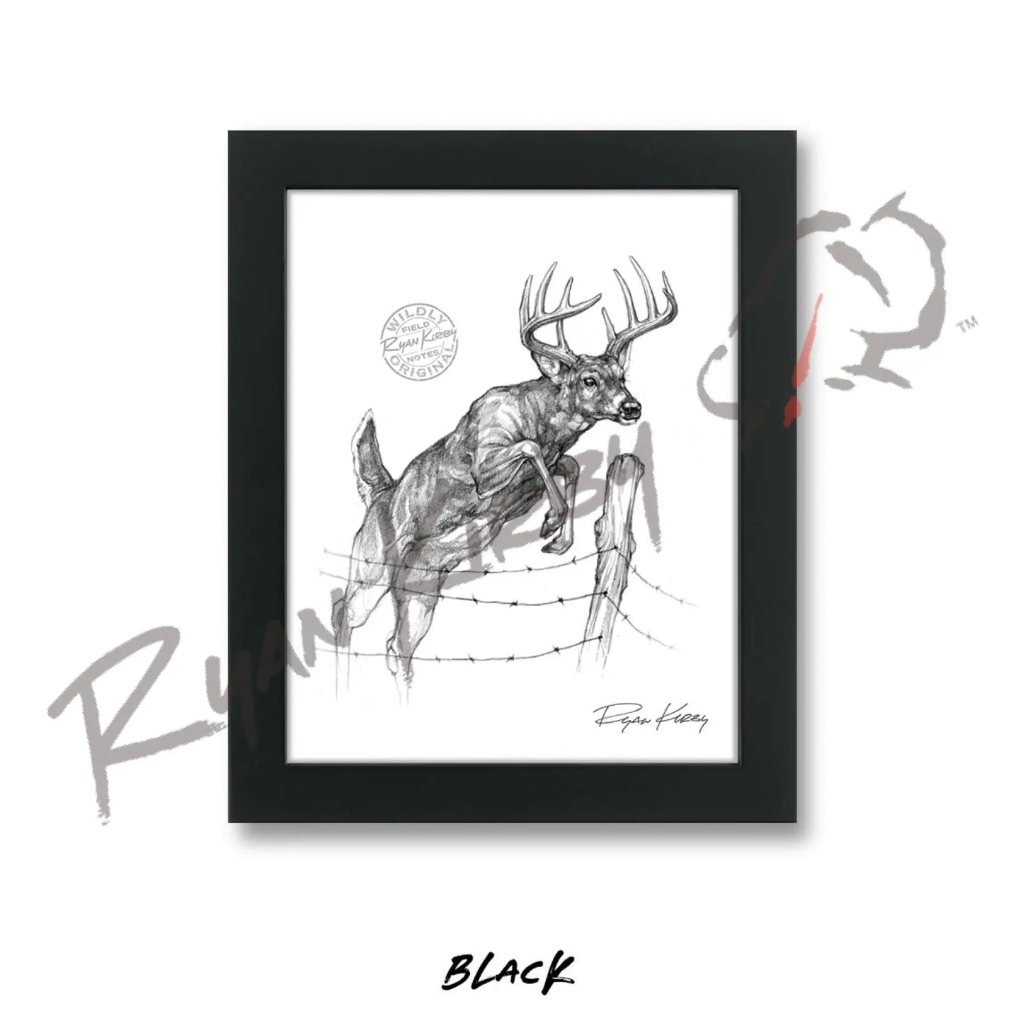 White-tailed Buck Jumping Fence Sketch Print Sketch Paper Print