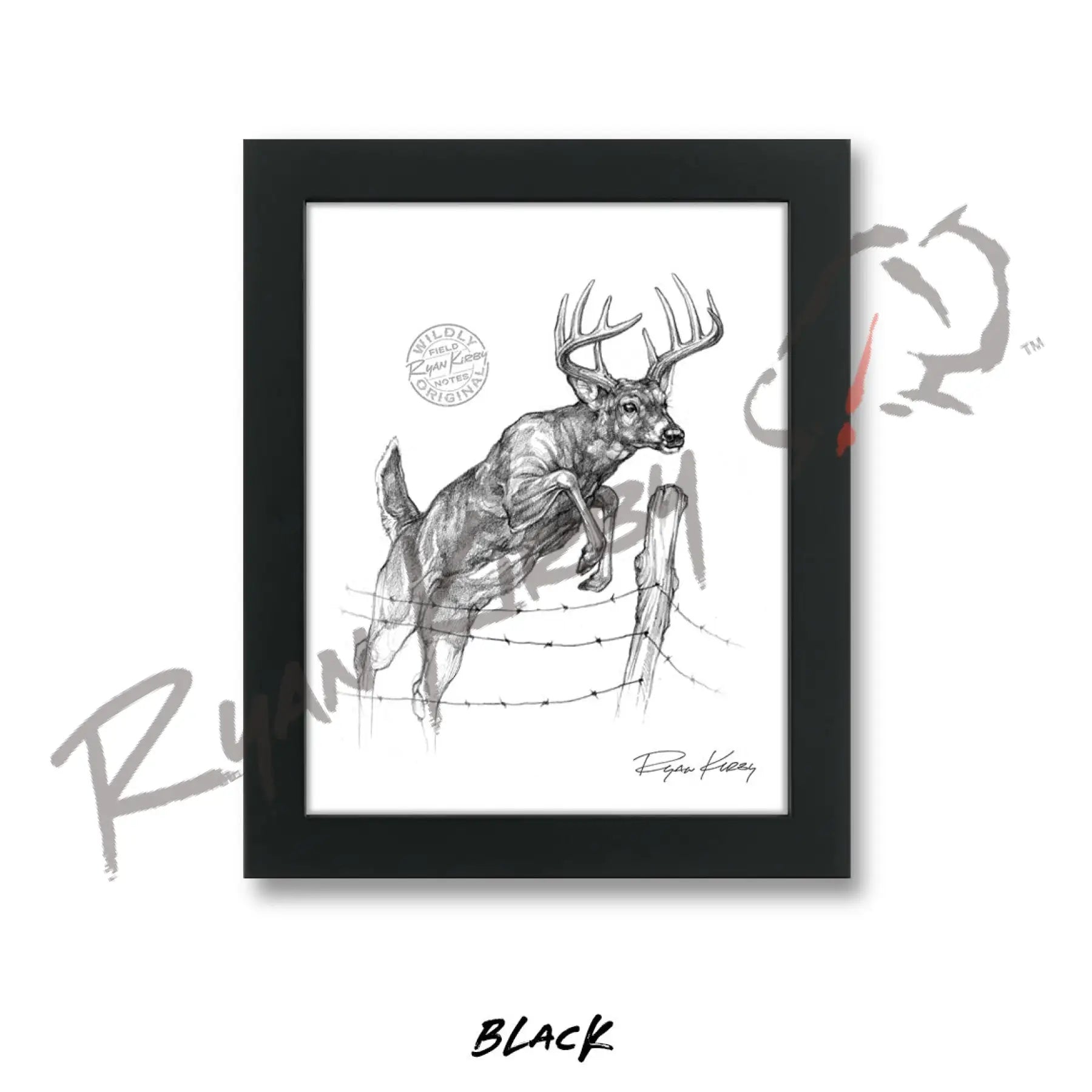 White-tailed Buck Jumping Fence Sketch Print Sketch Paper Print