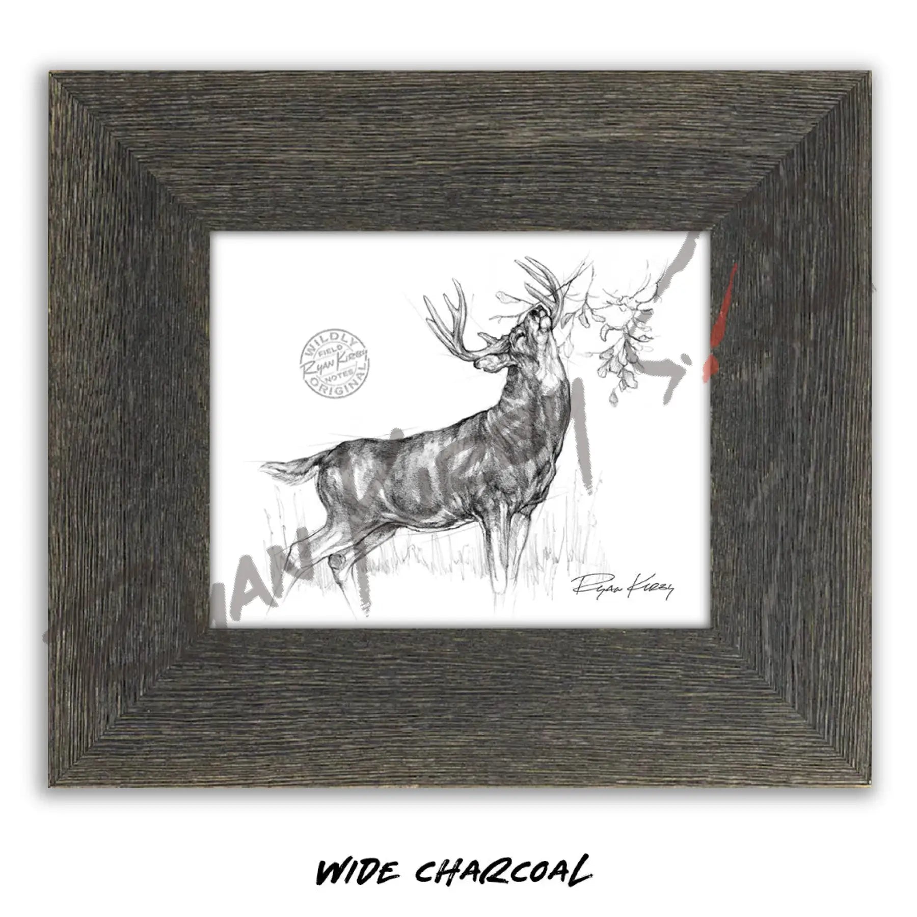 White-tailed Buck Making Scrape Sketch Print Sketch Paper Print