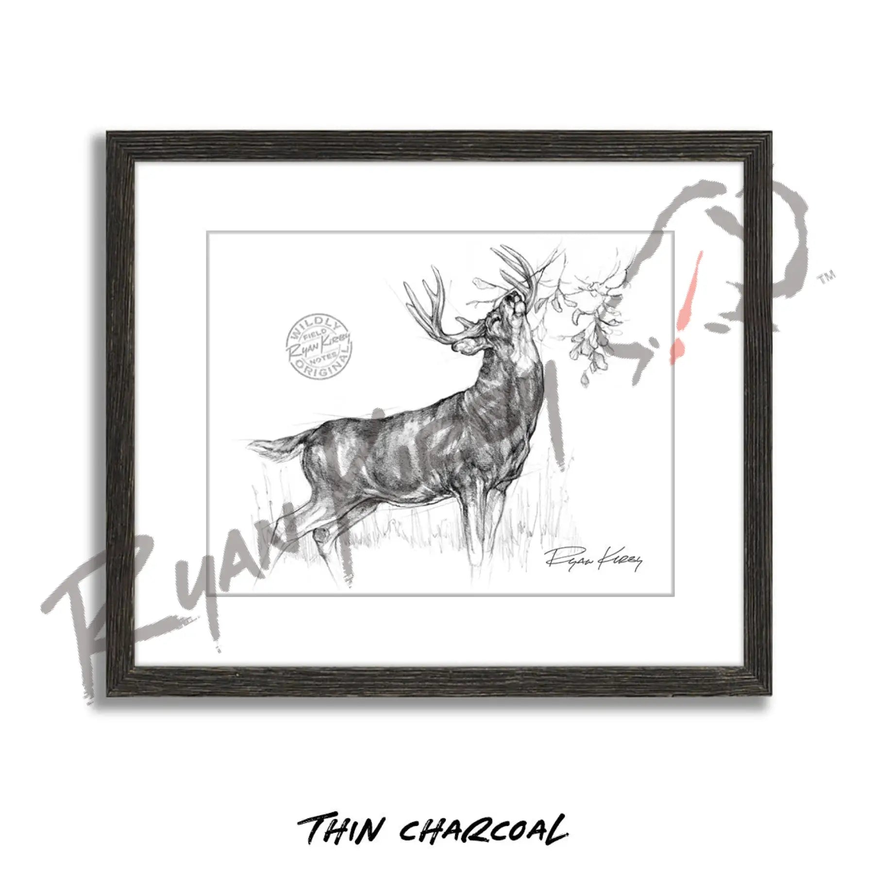 White-tailed Buck Making Scrape Sketch Print Sketch Paper Print