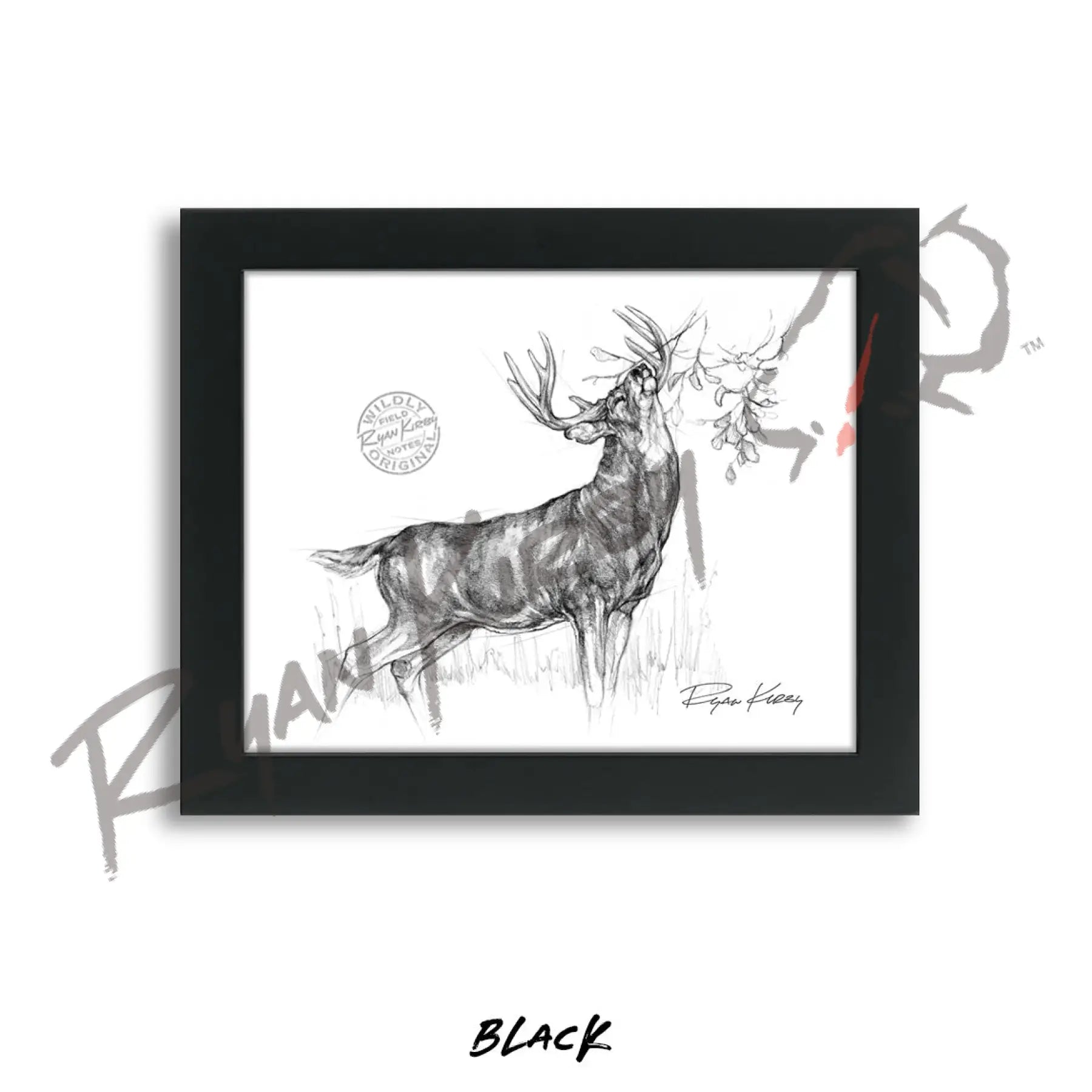 White-tailed Buck Making Scrape Sketch Print Sketch Paper Print