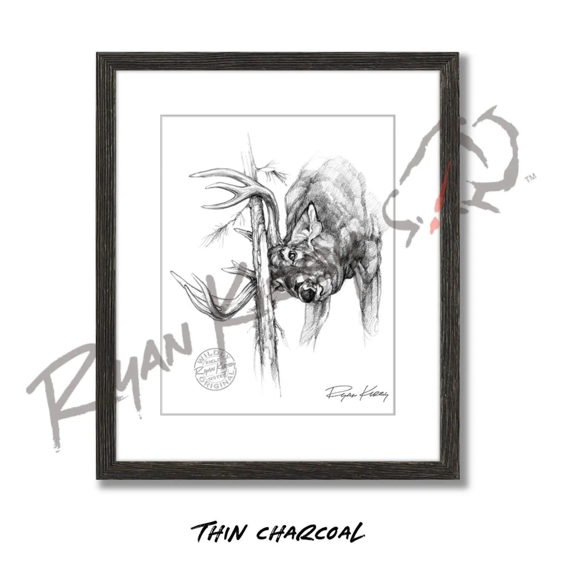 White-tailed Buck Rub Sketch Print Sketch Paper Print