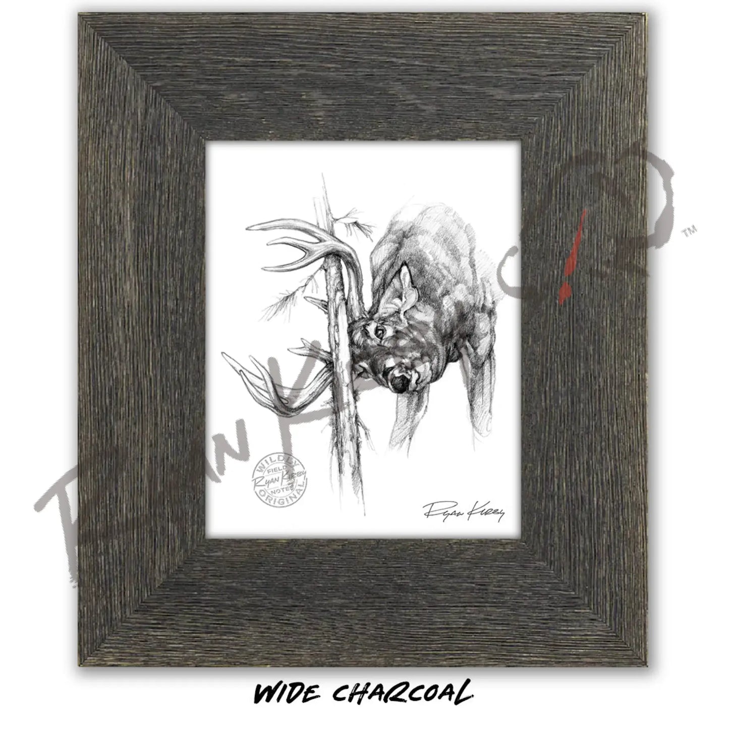 White-tailed Buck Rub Sketch Print Sketch Paper Print