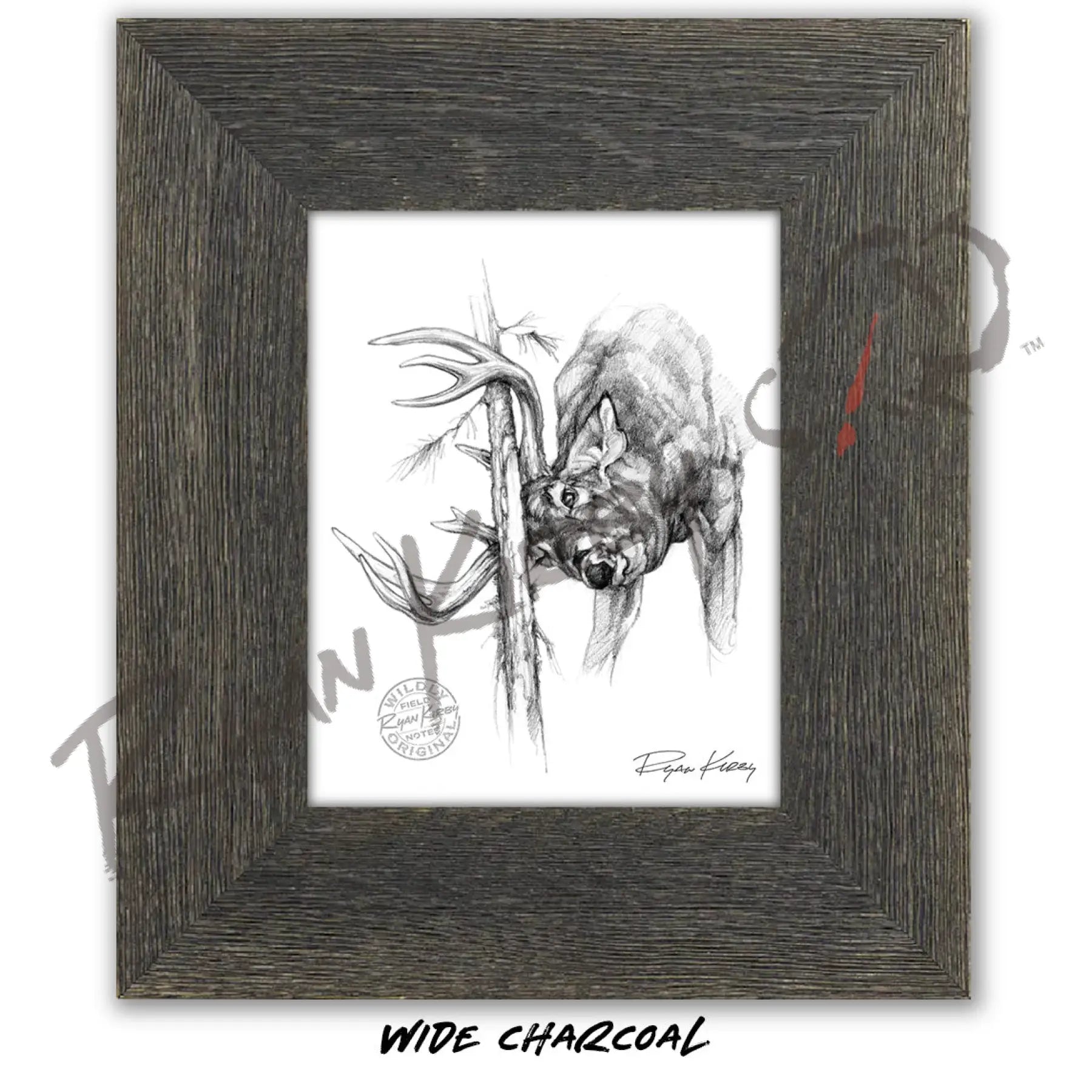 White-tailed Buck Rub Sketch Print Sketch Paper Print