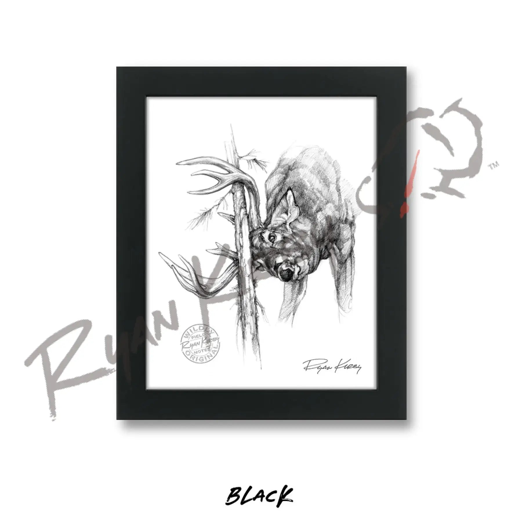 White-tailed Buck Rub Sketch Print Sketch Paper Print