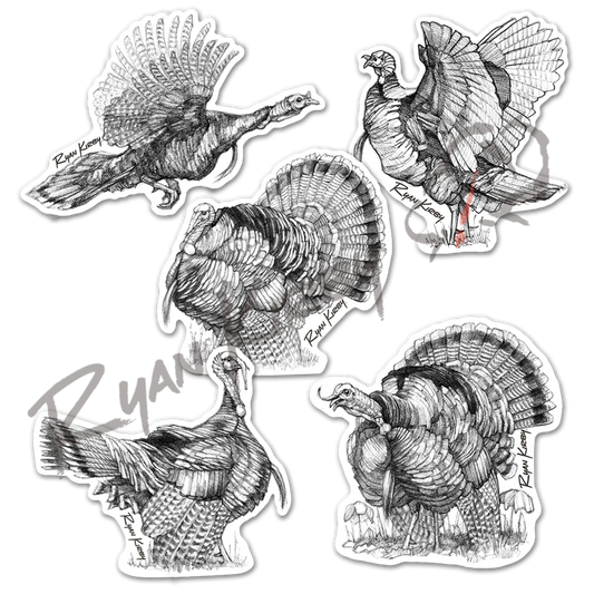Wild Turkey Decal 5-Pack – Turkey Hunting Art Stickers - Apparel