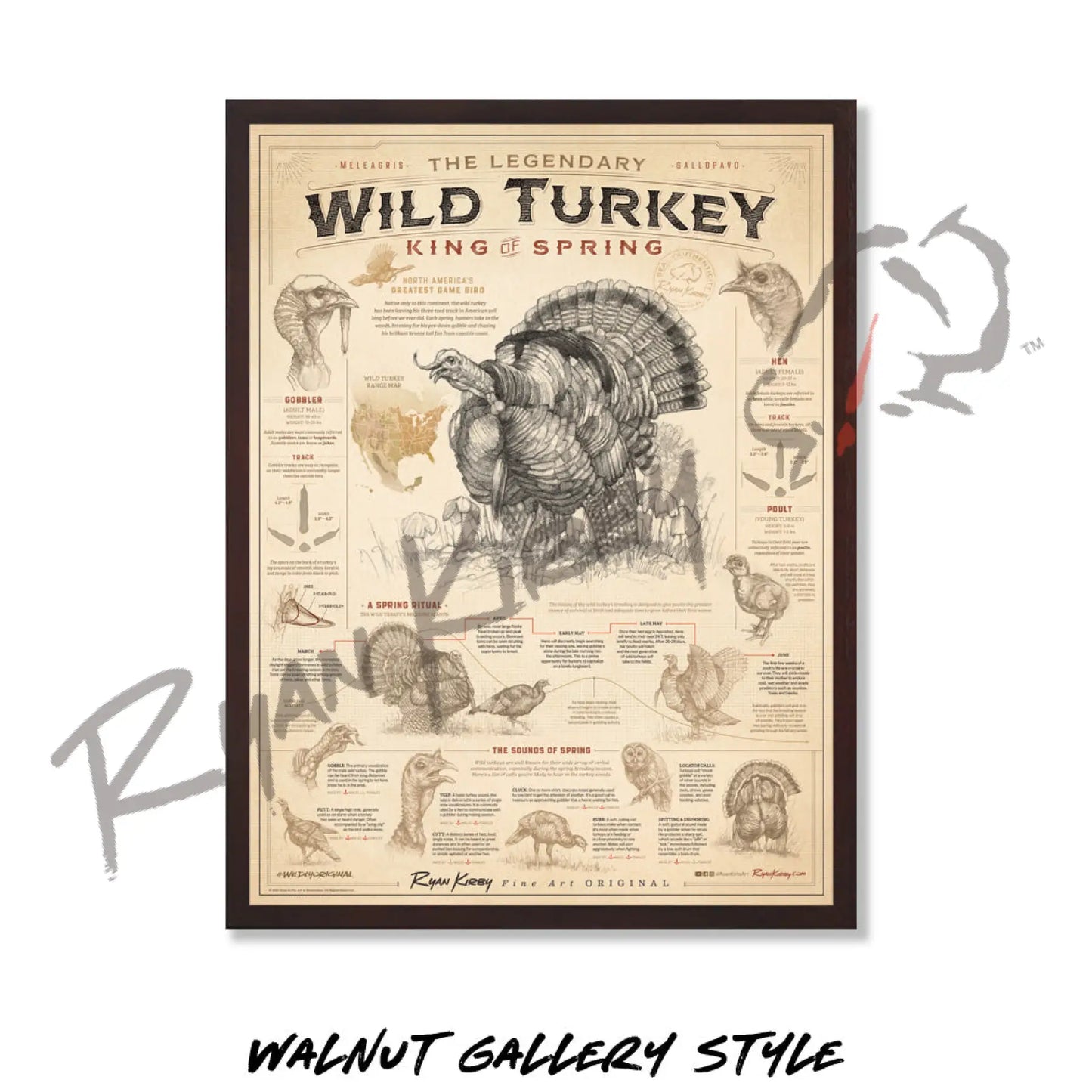 ’Wild Turkey: King of Spring’ Art Poster Poster
