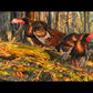 "Sons of Thunder" Wild Turkey Canvas Art Print